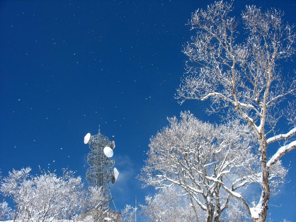 Nozawa Onsen Hotel Exteriör bild